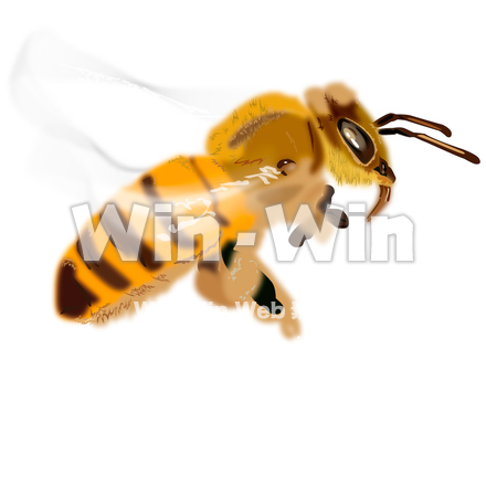 蜂のCG・イラスト素材 W-001840