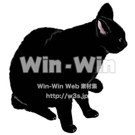 黒猫のCG・イラスト素材 W-001532