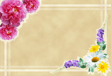 花のハガキフレーム D-001065 のポストカード・DM