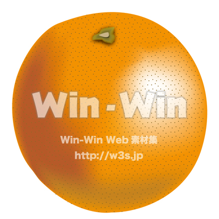オレンジのCG・イラスト素材 W-001629