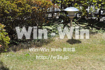 西洋風お庭の写真素材 W-000696