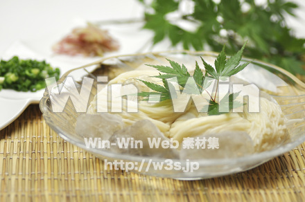素麺の写真素材 W-000221