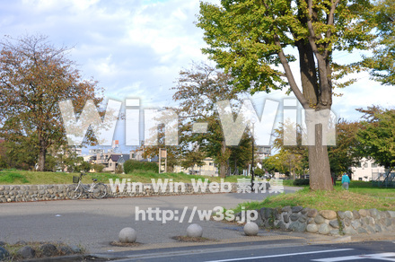 富士見公園の写真素材 W-002667