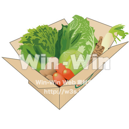 野菜の詰め合わせのCG・イラスト素材 W-002933