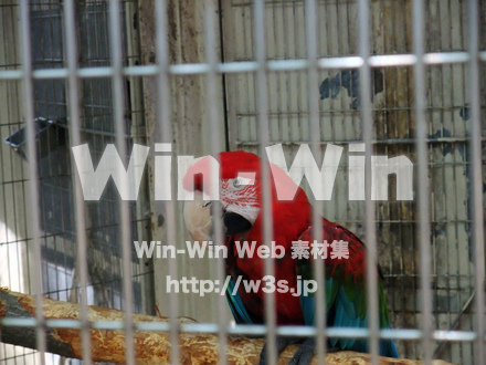 夢見ヶ崎動物公園の写真素材 W-002884