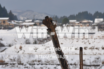 雪景色の写真素材 W-002598