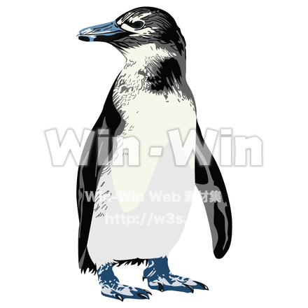 ペンギンのCG・イラスト素材 W-003628