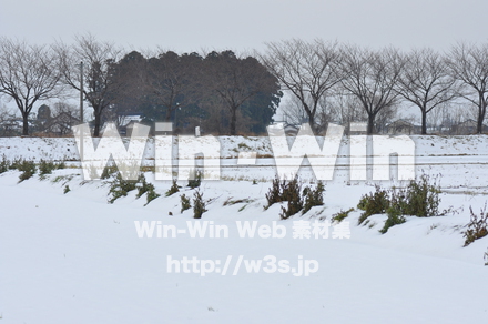 雪景色の写真素材 W-002592
