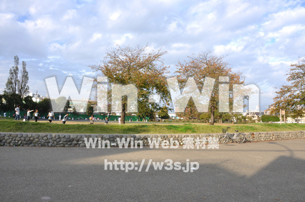 富士見公園の写真素材 W-002670