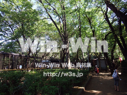 夢見ヶ崎動物公園の写真素材 W-002895