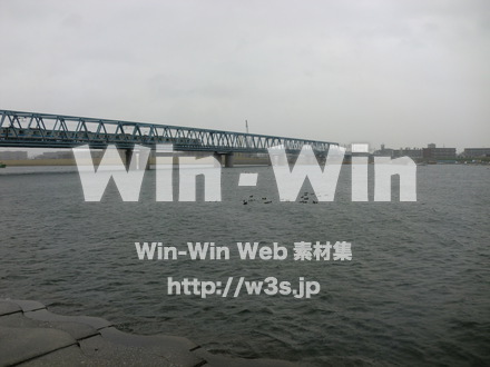 江戸川　雨5の写真素材 W-005880