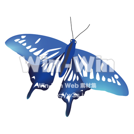 蝶のCG・イラスト素材 W-004717