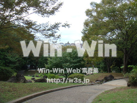 王禅寺ふるさと公園08の写真素材 W-004011