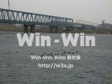 江戸川　雨6の写真素材 W-005882