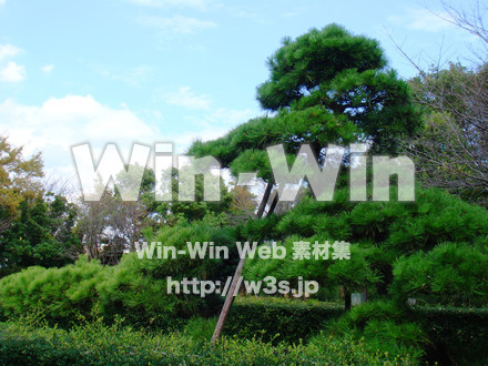 鶴亀松公園9の写真素材 W-005867