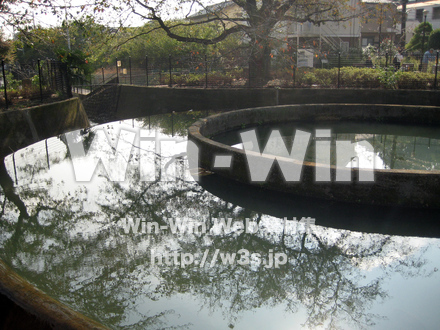 二ヶ領用水（高津区）の写真素材 W-004935