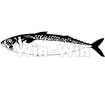 鯖のシルエット素材 W-005201
