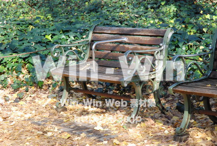 落ち葉とベンチの写真素材 W-005164