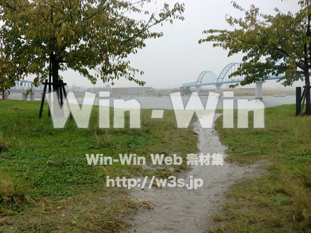 江戸川　雨3の写真素材 W-005877