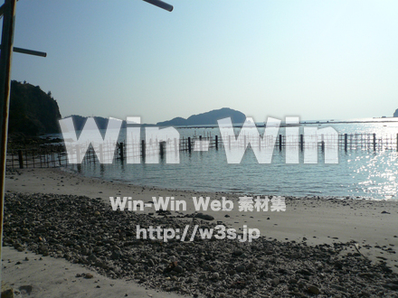 小笠原諸島の写真素材 W-004965
