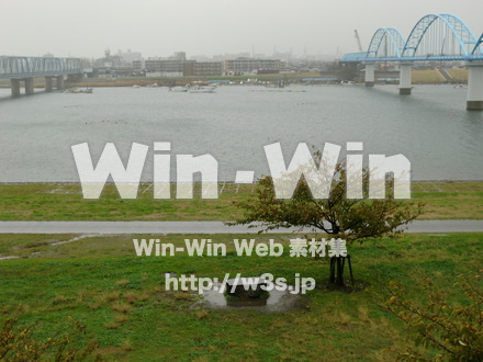 江戸川　雨42の写真素材 W-006373