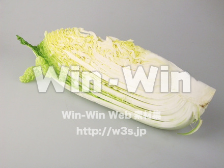 野菜の写真素材 W-007246