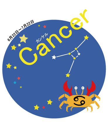 かに座1 D-007049 のその他