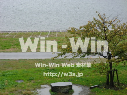 江戸川　雨43の写真素材 W-006375