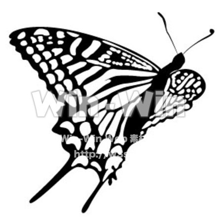 蝶のシルエット素材 W-006246
