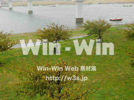江戸川　雨41の写真素材 W-006372