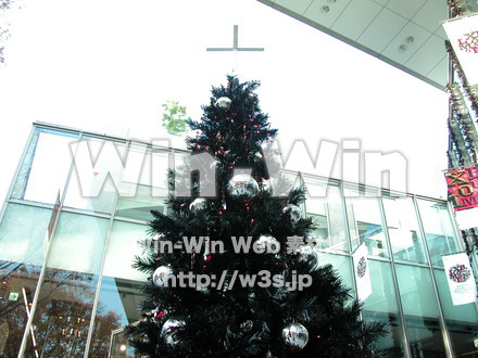 クリスマスツリーの写真素材 W-007146