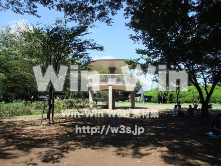 夢見ケ崎動物公園-白山古墳の写真素材 W-006784