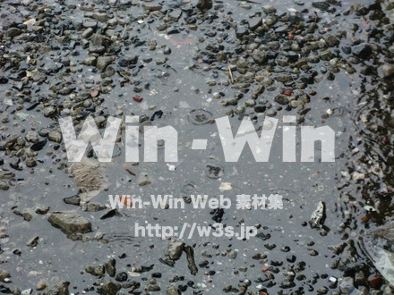 江戸川　雨30の写真素材 W-006359