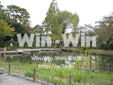 中野・哲学堂公園の写真素材 W-007058