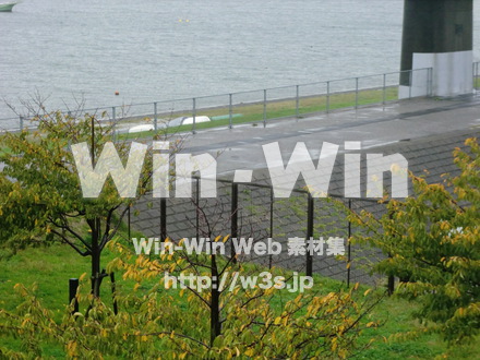 江戸川　雨45の写真素材 W-006382