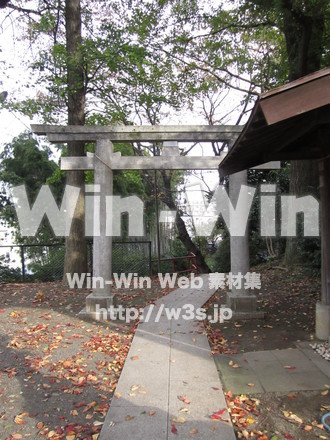 五反田神社の写真素材 W-008575