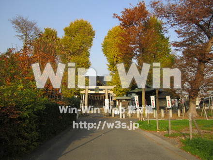 登戸稲荷神社の写真素材 W-008591