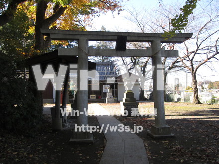 五反田神社の写真素材 W-008581