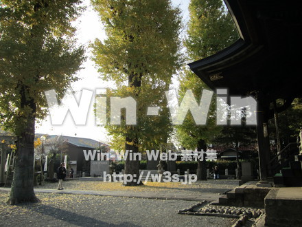 登戸稲荷神社の写真素材 W-008586