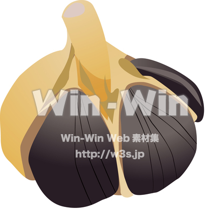 黒にんにくのCG・イラスト素材 W-009279