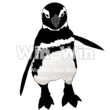 ペンギンのCG・イラスト素材 W-009506