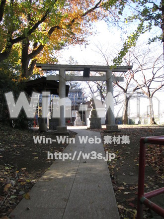 五反田神社の写真素材 W-008579