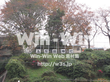 五反田神社の写真素材 W-008577