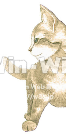 猫のCG・イラスト素材 W-011051
