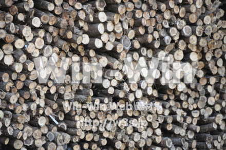 大量の薪の写真素材 W-010928