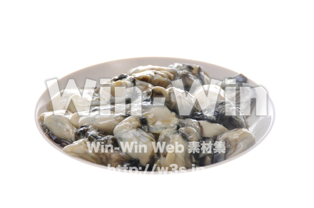 むき牡蠣の写真素材 W-012994