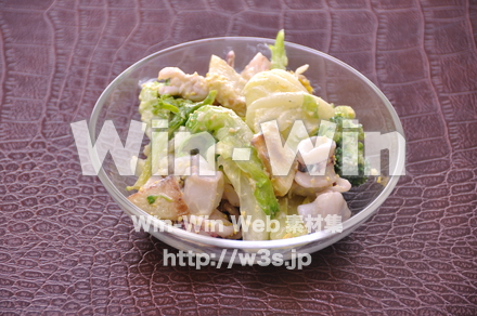 菜の花のサラダの写真素材 W-012948