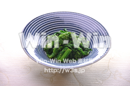 菜の花の胡麻和えの写真素材 W-013526