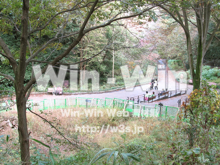 東高根森林公園。の写真素材 W-013017