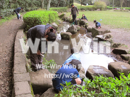 東高根森林公園の写真素材 W-013056